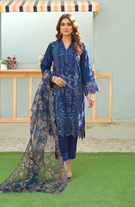 NB-12B Embroidered Chiffon Stitched 3 Piece Suit