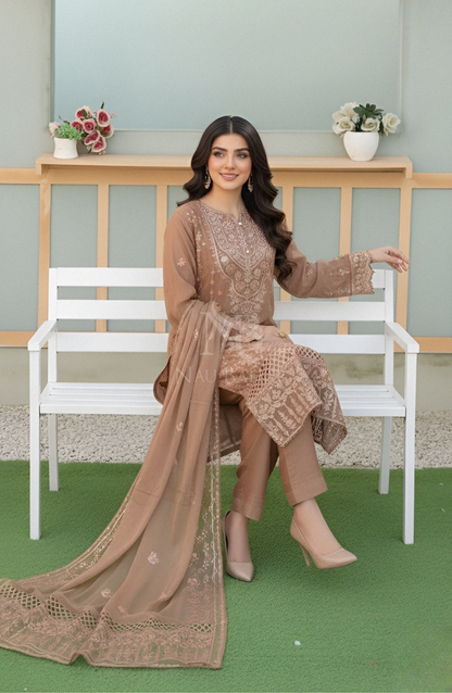 NB-148 Embroidered Chiffon Stitched 3 Piece Suit