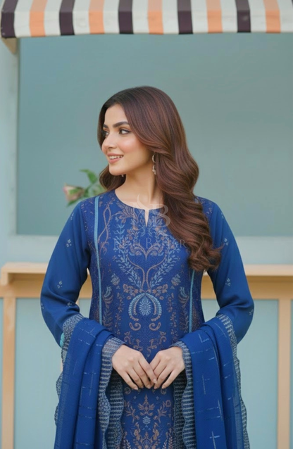 NB-111B Embroidered Chiffon Stitched 3 Piece Suit