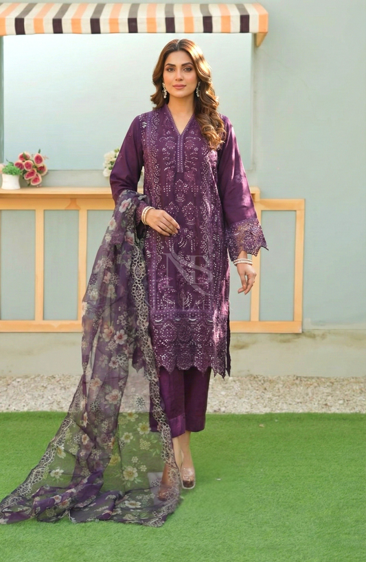 NB-12P Embroidered Chiffon Stitched 3 Piece Suit